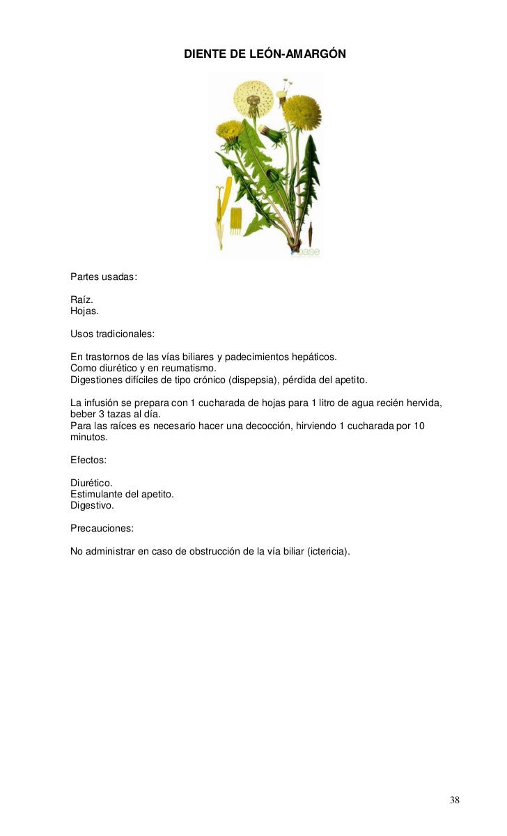 Propiedades del enebro: una planta colmada de beneficios Propiedades del enebro: una planta colmada de beneficios